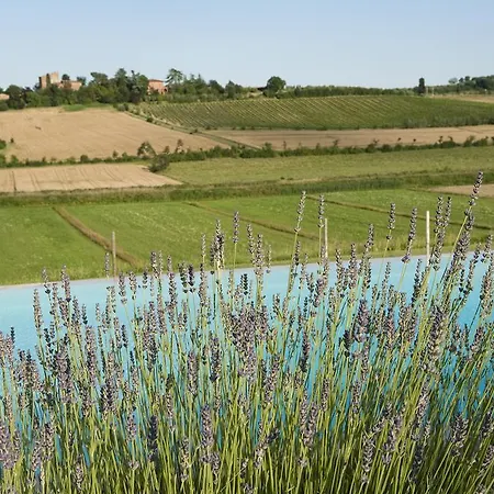 Agriturismo La Corte Dei Sogni Torrita di Siena